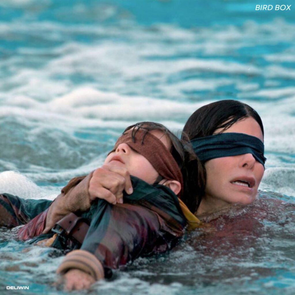 SINOPSIS FILM BIRD BOX