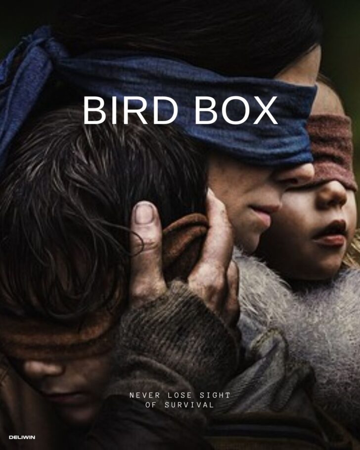 BIRD BOX